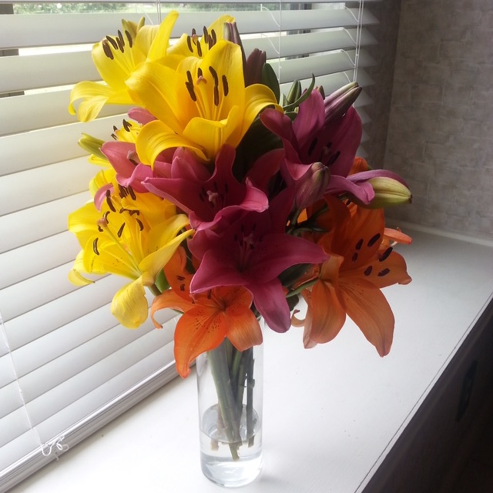 Meet your Posher, Ruth